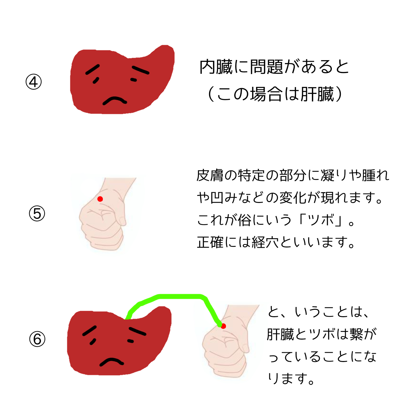 鍼 なぜ効く – 鍼灸 効果 わかりやすく – THOM